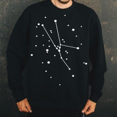 Jautis/Taurus/The bull