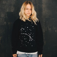 Skorpionas/Scorpio/The scorpion