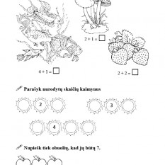 Reda Jaseliūnienė. MATEMATIKOS SAVARANKIŠKŲ  DARBŲ UŽDUOTYS   1 klasei