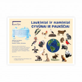 Laukiniai ir naminiai gyvūnai ir paukščiai. Ugdomasis loto žaidimas