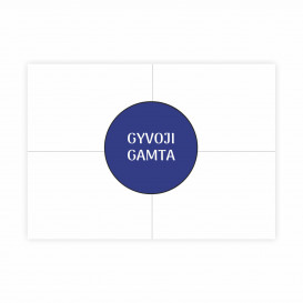 Gyvoji ir negyvoji gamta. Ugdomasis loto žaidimas