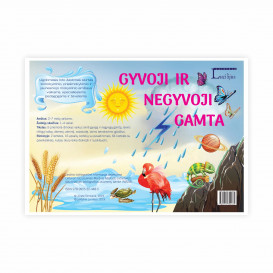Gyvoji ir negyvoji gamta. Ugdomasis loto žaidimas