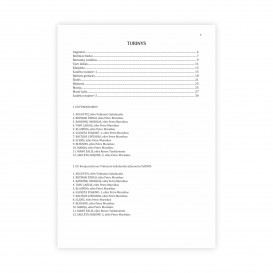 V. Sakalauskas. Baltijos gintaras + 2 CD
