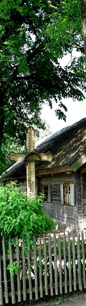 Skirtukas Nr. 135