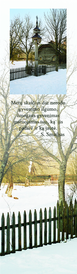 Skirtukas Nr. 10