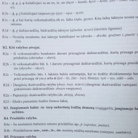Vytautas Šalavėjus. Rašybos ir skyrybos užduotys 11-12 klasių mokiniams. 2 dalis (su atsakymais)
