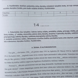 Vytautas Šalavėjus. Rašybos ir skyrybos užduotys 11-12 klasių mokiniams. 2 dalis (su atsakymais)
