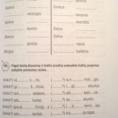 Aistė Kvičiuvienė. Gal girdėjai, gal matei: i ir y, u ir ū?