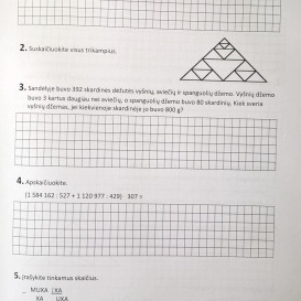 Vilma Meškauskienė, Dalia Lauraitienė. Jaunieji matematikai (4 klasių mokiniams)