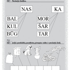 Katino Teodoro mokyklėlė. Nuo raidės prie žodžio