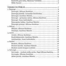 Jonas Ambrukaitis. MIŠKO GĖRYBĖS