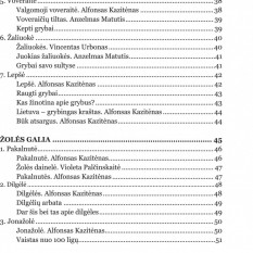Jonas Ambrukaitis. MIŠKO GĖRYBĖS
