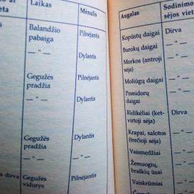 Naudota knyga. Mikas Masionis. Mėnulis pataria
