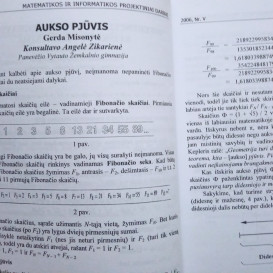 Naudota knyga. Matematikos ir informatikos projektiniai darbai. V dalis