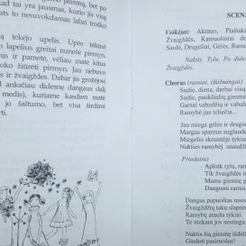 Su defektu. Akmuo ir plaštakė. Ko žemėje daugiau
