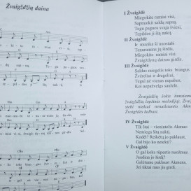 Su defektu. Akmuo ir plaštakė. Ko žemėje daugiau