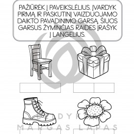 Indrė Gaidienė. MISIJA: SKAITYMAS. ĮMANOMA!