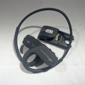 Sony NW-WS623 (be pakuotes)
