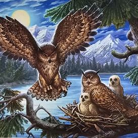 Deimantinė dėlionė "Pelėdos"
