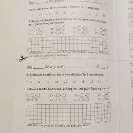 Reda Jaseliūnienė. TIKRINAME DAUGYBOS LENTELĖS ŽINIAS