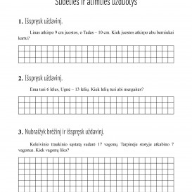 Reda Jaseliūnienė. MATEMATIKA. Tekstiniai uždaviniai. 1 klasė II dalis. Sudėtis  ir atimtis iki 20