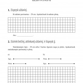 Reda Jaseliūnienė. MATEMATIKA. Tekstiniai uždaviniai. 4 klasė I dalis. Sudėtis, atimtis, daugyba, dalyba