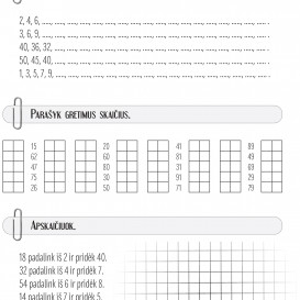 Reda Jaseliūnienė. MATEMATIKA. Savarankiški darbai 3 klasei