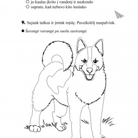TEKSTO SUVOKIMO  TESTAI 1 klasė. R. Jaseliūnienė, V. Šalavėjus.