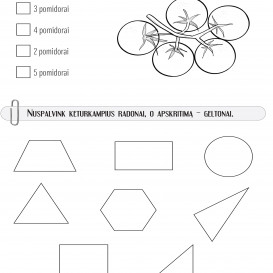 MATEMATIKA. Savarankiški darbai 1 klasei. R. Jaseliūnienė