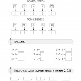 MATEMATIKA. Savarankiški darbai 2 klasei. R. Jaseliūnienė.