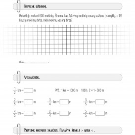 MATEMATIKA. Savarankiški darbai 4 klasei. R. Jaseliūnienė