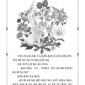 MĖLYNOJI PASAKŲ KNYGA. Skiemenuotos pasakos