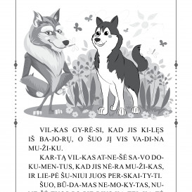 MĖLYNOJI PASAKŲ KNYGA. Skiemenuotos pasakos