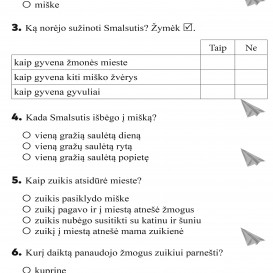 TEKSTO SUVOKIMO  TESTAI 2 klasė. R. Jaseliūnienė, V. Šalavėjus