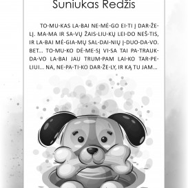 SVAJOKLIŲ ŠALIES PASAKOS PASAKĖLĖS. Simona Bružaitė