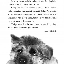 PILKOJI SKAITYMO KNYGA. Tekstų karalystė