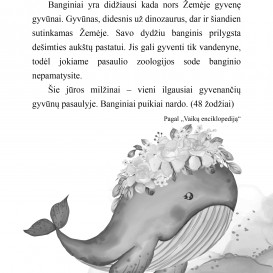 PILKOJI SKAITYMO KNYGA. Tekstų karalystė