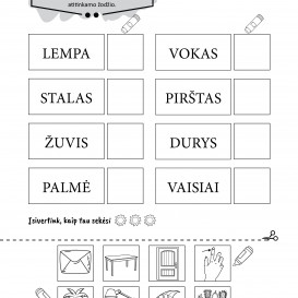 Akvilė Liutkevičienė. Saulė mokosi skaityti