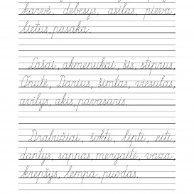 MANO dailyraštis. 2 dalis
