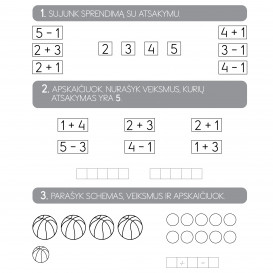 KIVIS matematikos šalyje