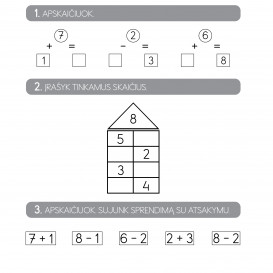 KIVIS matematikos šalyje