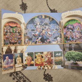 Altoriukas VRINDAVAN (vidutinis)