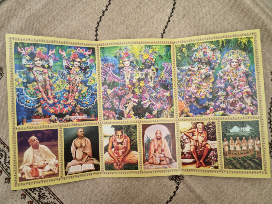 Altoriukas SPECIAL VRINDAVAN (vidutinis)