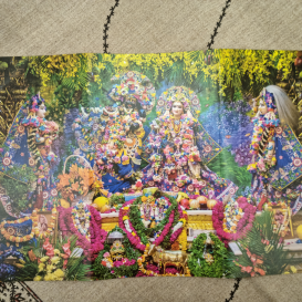 Altoriukas SPECIAL VRINDAVAN (vidutinis)