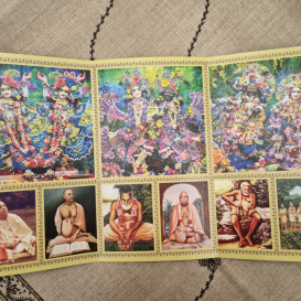 Altoriukas SPECIAL VRINDAVAN (vidutinis)