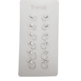 Auskarų rinkinys Trendz