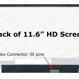 HD 11.6  B116XTN02.3  30PIN