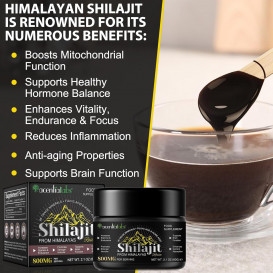 Shilajit (Mumijo) derva – natūralus energijos ir gyvybingumo šaltinis 50g