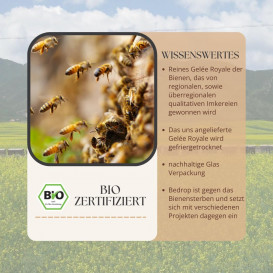 Ekologiškas bičių pienelis – grynas 100 g (10-HDA >1,7%)