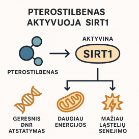Pterostilbenas 50 mg – 60 kapsulių